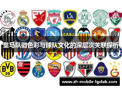 皇马队徽色彩与球队文化的深层次关联探析 皇马队徽色彩与球队文化的深层次关联探析