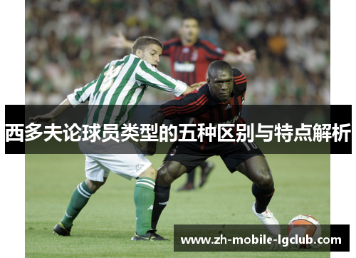 西多夫论球员类型的五种区别与特点解析 西多夫论球员类型的五种区别与特点解析