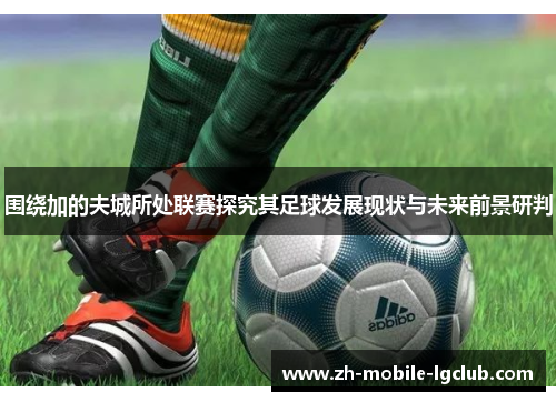 围绕加的夫城所处联赛探究其足球发展现状与未来前景研判