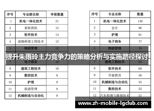 提升朱雨玲主力竞争力的策略分析与实施路径探讨