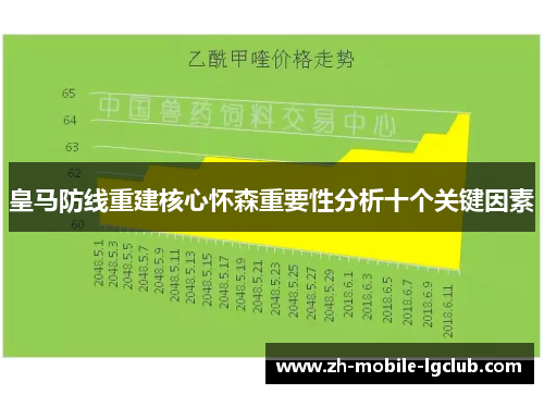 皇马防线重建核心怀森重要性分析十个关键因素