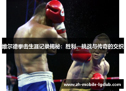 维尔德拳击生涯记录揭秘:胜利、挑战与传奇的交织 维尔德拳击生涯记录揭秘:胜利、挑战与传奇的交织