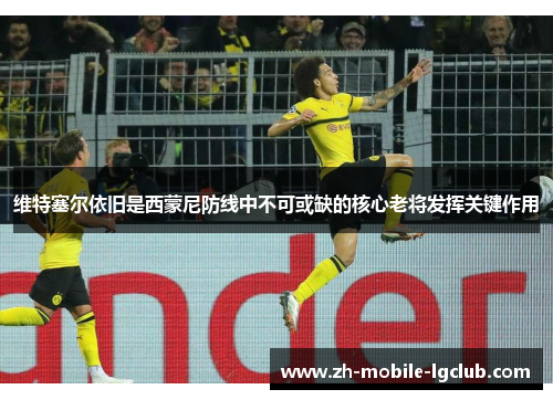 维特塞尔依旧是西蒙尼防线中不可或缺的核心老将发挥关键作用 维特塞尔依旧是西蒙尼防线中不可或缺的核心老将发挥关键作用