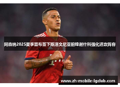 阿森纳2025夏季宣布签下斯洛文尼亚前锋谢什科强化进攻阵容