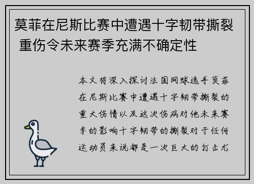 莫菲在尼斯比赛中遭遇十字韧带撕裂 重伤令未来赛季充满不确定性 莫菲在尼斯比赛中遭遇十字韧带撕裂 重伤令未来赛季充满不确定性