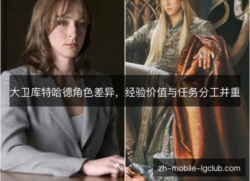 大卫库特哈德角色差异,经验价值与任务分工并重 大卫库特哈德角色差异,经验价值与任务分工并重